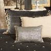 Coussin 30X45 cm PLATINE MERCURE